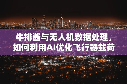 牛排酱与无人机数据处理，如何利用AI优化飞行器载荷的精准喷洒？