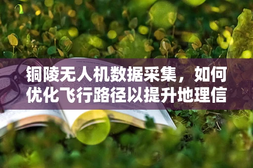 铜陵无人机数据采集，如何优化飞行路径以提升地理信息精度？