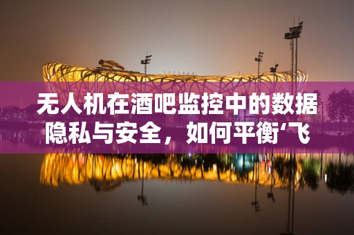 无人机在酒吧监控中的数据隐私与安全，如何平衡‘飞眼’与隐私权？