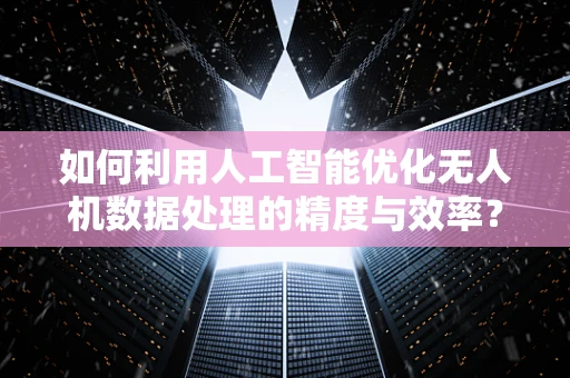 如何利用人工智能优化无人机数据处理的精度与效率？