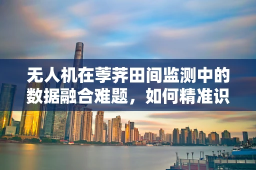 无人机在荸荠田间监测中的数据融合难题，如何精准识别与分类？