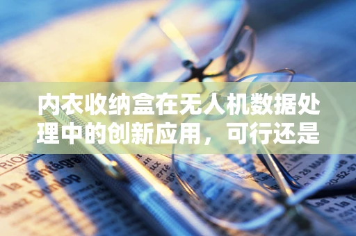 内衣收纳盒在无人机数据处理中的创新应用，可行还是鸡肋？