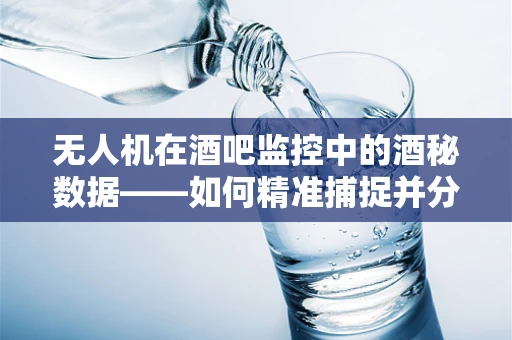无人机在酒吧监控中的酒秘数据——如何精准捕捉并分析？