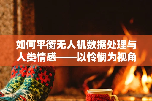 如何平衡无人机数据处理与人类情感——以怜悯为视角？