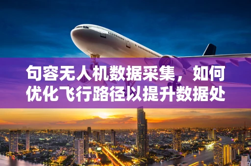 句容无人机数据采集，如何优化飞行路径以提升数据处理效率？