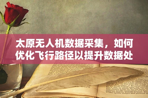 太原无人机数据采集，如何优化飞行路径以提升数据处理效率？