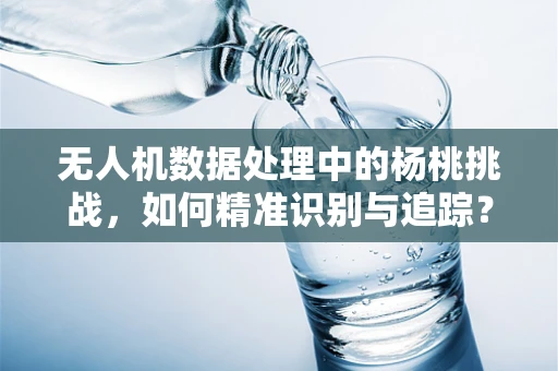 无人机数据处理中的杨桃挑战，如何精准识别与追踪？
