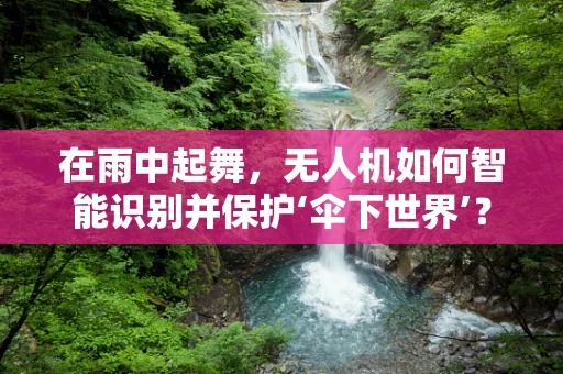 在雨中起舞，无人机如何智能识别并保护‘伞下世界’？
