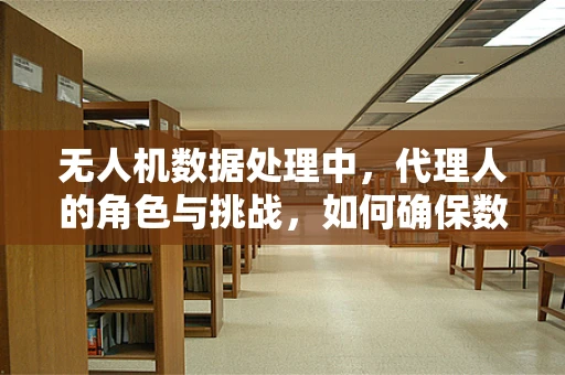 无人机数据处理中，代理人的角色与挑战，如何确保数据传输的安全与高效？