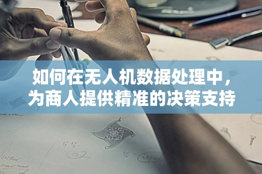 如何在无人机数据处理中，为商人提供精准的决策支持？