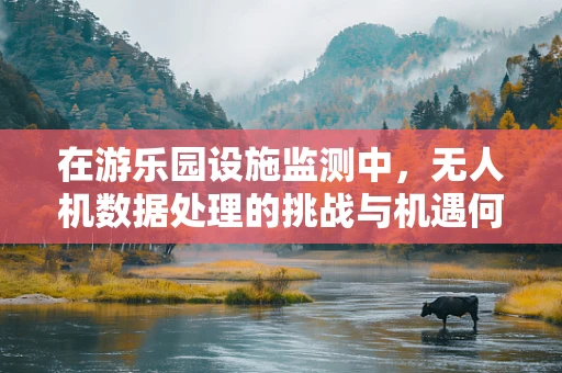 在游乐园设施监测中，无人机数据处理的挑战与机遇何在？
