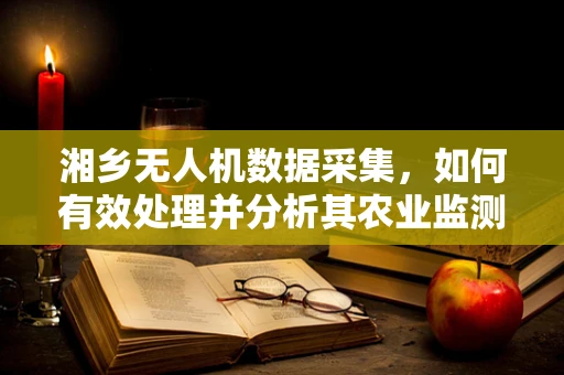 湘乡无人机数据采集，如何有效处理并分析其农业监测信息？
