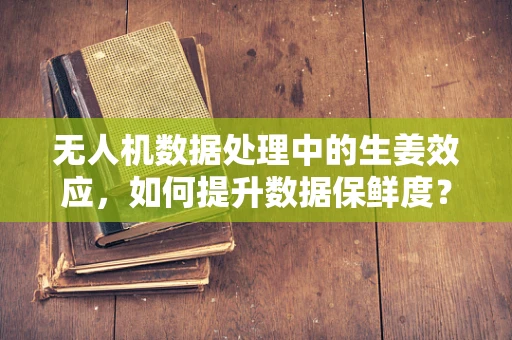 无人机数据处理中的生姜效应，如何提升数据保鲜度？