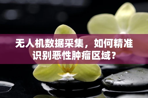 无人机数据采集，如何精准识别恶性肿瘤区域？