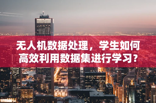 无人机数据处理，学生如何高效利用数据集进行学习？
