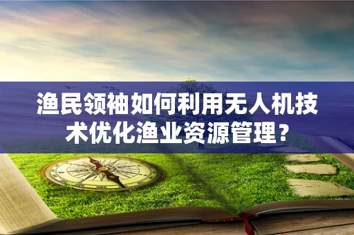 渔民领袖如何利用无人机技术优化渔业资源管理？