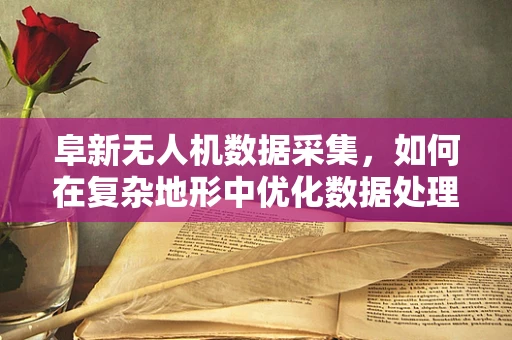 阜新无人机数据采集，如何在复杂地形中优化数据处理效率？
