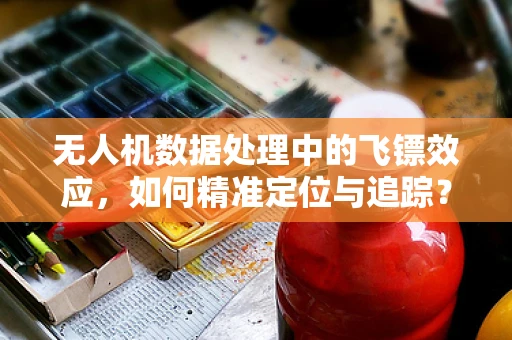 无人机数据处理中的飞镖效应，如何精准定位与追踪？