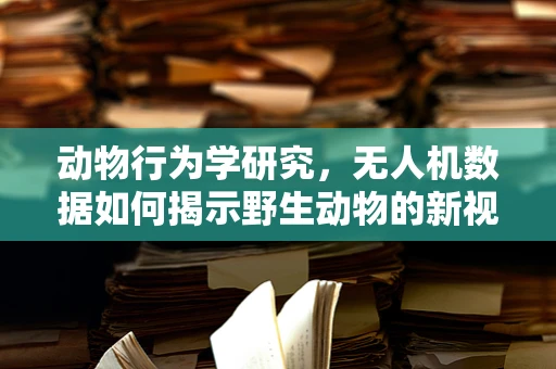 动物行为学研究，无人机数据如何揭示野生动物的新视角？