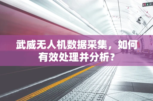 武威无人机数据采集，如何有效处理并分析？
