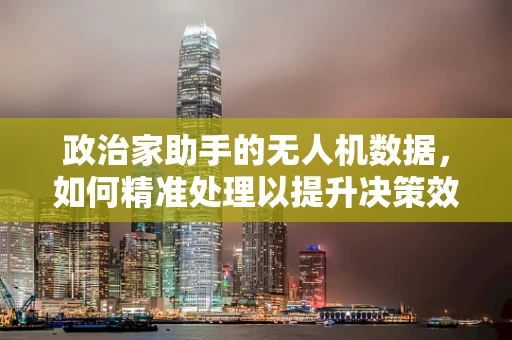 政治家助手的无人机数据，如何精准处理以提升决策效率？