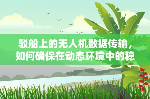 驳船上的无人机数据传输，如何确保在动态环境中的稳定与安全？
