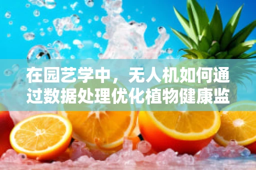在园艺学中，无人机如何通过数据处理优化植物健康监测？