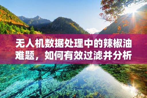 无人机数据处理中的辣椒油难题，如何有效过滤并分析含干扰数据？