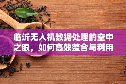 临沂无人机数据处理的空中之眼，如何高效整合与利用？