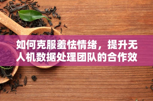 如何克服羞怯情绪，提升无人机数据处理团队的合作效率？