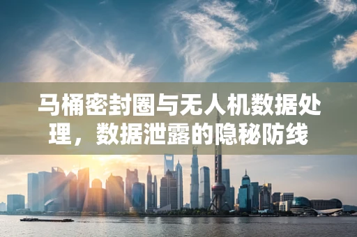 马桶密封圈与无人机数据处理，数据泄露的隐秘防线