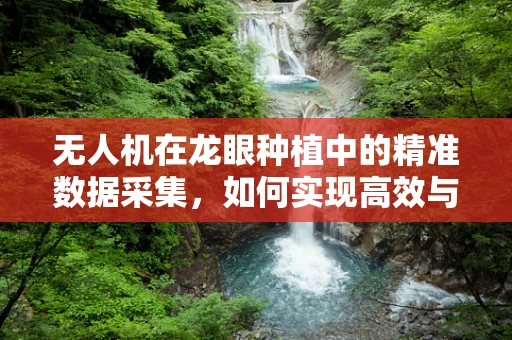 无人机在龙眼种植中的精准数据采集，如何实现高效与精准的平衡？