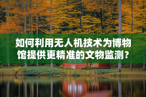 如何利用无人机技术为博物馆提供更精准的文物监测？