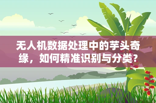 无人机数据处理中的芋头奇缘，如何精准识别与分类？
