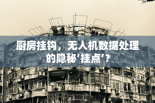 厨房挂钩，无人机数据处理的隐秘‘挂点’？