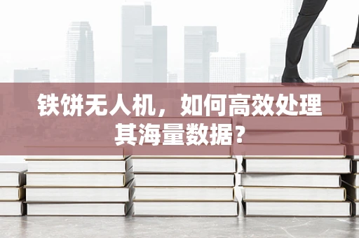 铁饼无人机，如何高效处理其海量数据？