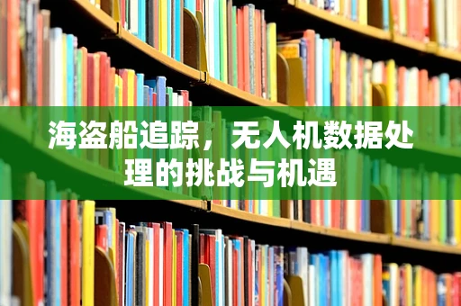 海盗船追踪，无人机数据处理的挑战与机遇