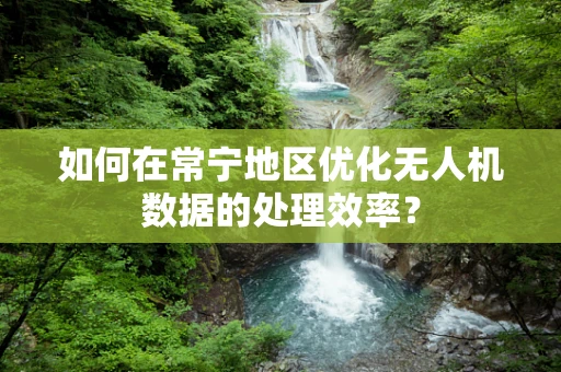 如何在常宁地区优化无人机数据的处理效率？