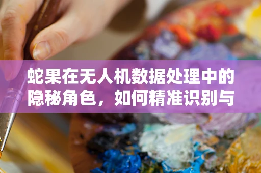 蛇果在无人机数据处理中的隐秘角色，如何精准识别与利用？