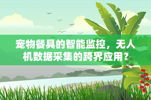 宠物餐具的智能监控，无人机数据采集的跨界应用？