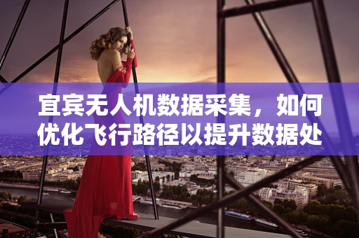 宜宾无人机数据采集，如何优化飞行路径以提升数据处理效率？