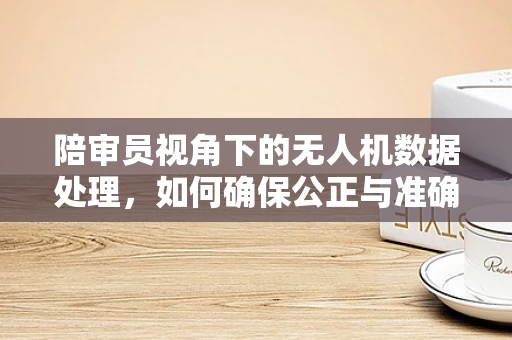陪审员视角下的无人机数据处理，如何确保公正与准确？