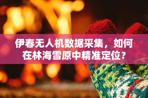 伊春无人机数据采集，如何在林海雪原中精准定位？