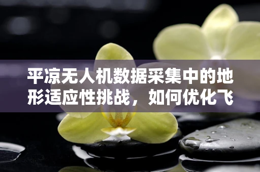 平凉无人机数据采集中的地形适应性挑战，如何优化飞行路径以提高数据精度？