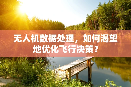无人机数据处理，如何渴望地优化飞行决策？