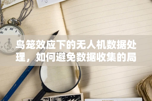 鸟笼效应下的无人机数据处理，如何避免数据收集的局限性？