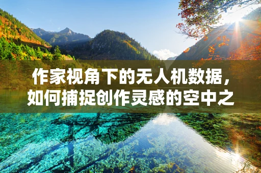作家视角下的无人机数据，如何捕捉创作灵感的空中之眼？