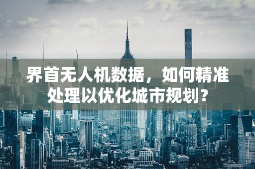 界首无人机数据，如何精准处理以优化城市规划？