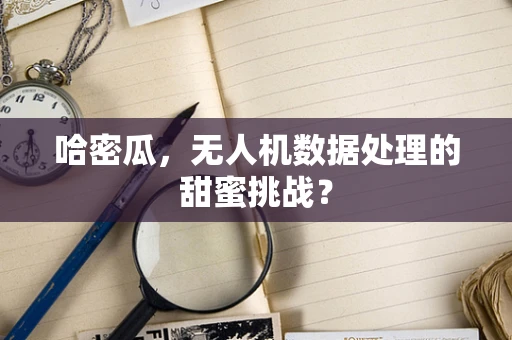 哈密瓜，无人机数据处理的甜蜜挑战？