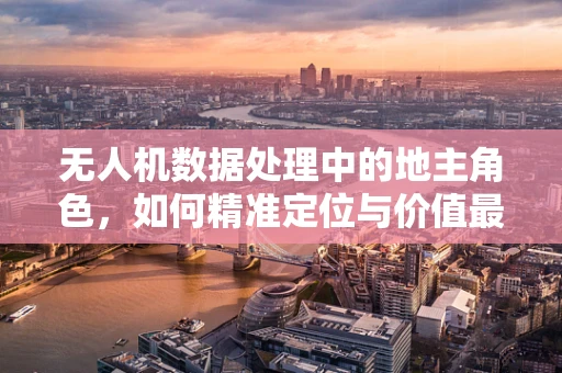 无人机数据处理中的地主角色，如何精准定位与价值最大化？